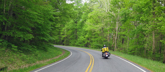 05-16-skyline-drive-foliage.jpg