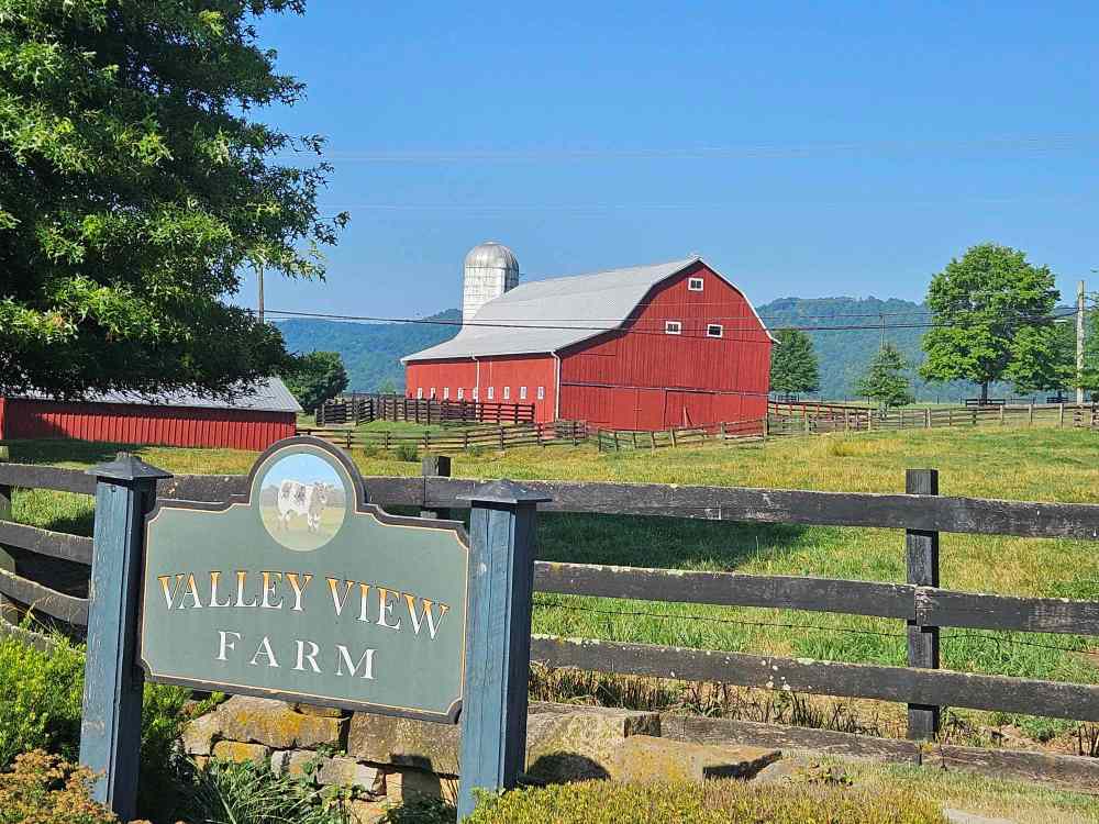 d v view farm.jpg