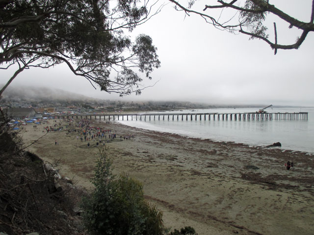 07-04-cayucos-wharf.jpg