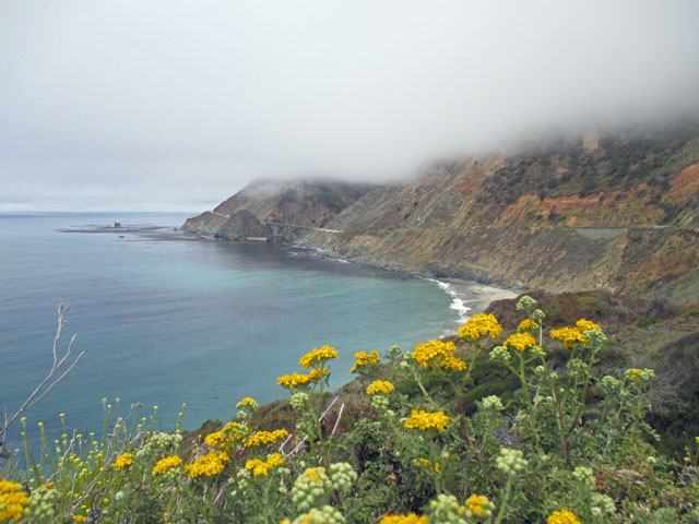 07-03-another-beach-and-fog.jpg