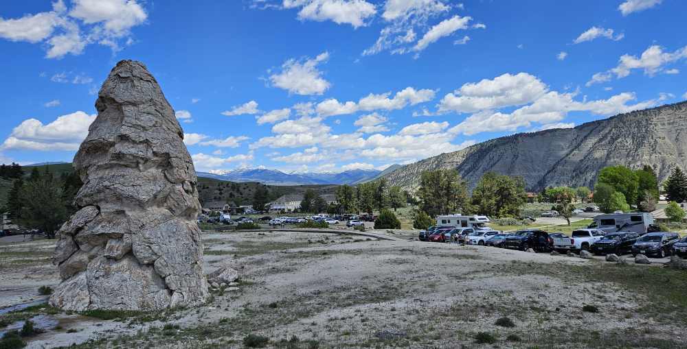 y liberty cap.jpg