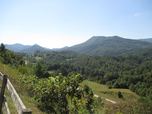 IMG_7934 (1).png